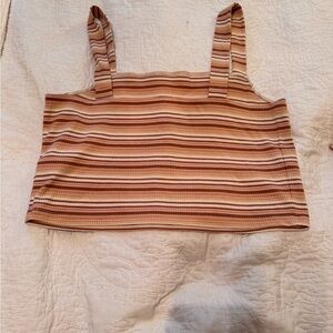 American Eagle Outfitters Striped Crop Top in Tan and Brown